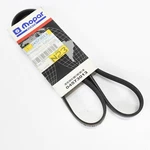 Genuine Mopar 1993-1997 Intrepid/lhs/new Yorker &.. Drive Belt 4573013. Fixed Price $19.54.
