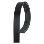 Acdelco 5K327SF V Ribbed Serpen (b). Fixed Price $50.23.