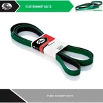 Gates Serpentine Belt Fleetrunner Heavy Duty For Mack / Mr Orion Bus. Fixed Price $58.98.