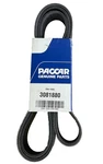 Paccar/dynacraft D84-1000-3081880 Belt-poly Ribs X Orion Hd/plys. Fixed Price $75.00.