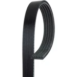 Acdelco 5K478 Professional Serpentine Belt, Standard, V Ribbed. Fixed Price $36.65.