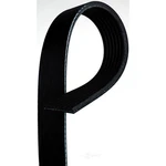 Acdelco 7K667 Professional Serpentine Belt, Standard, V Ribbed. Fixed Price $60.50.