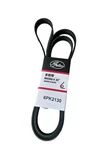 Gates A0039935796 Serpentine Belt Mercedes GLK350 E350 Vw Eurovan Ford Focus. Fixed Price $33.68.