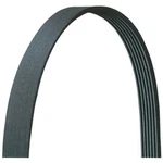 5070646DR Dayco Serpentine Belt For Honda Civic 2006-2011. Fixed Price $35.71.