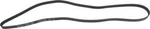 Serpentine Belt-protune Autopart Intl 1602-360305. Fixed Price $30.95.