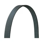 Dayco 5071133DR Ribbed, Drive Rite Traditional. Fixed Price $58.73.