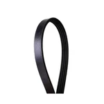 Serpentine Belt-multi-v Continental Elite 4040342. Fixed Price $21.62.