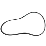 Serpentine Belt Motorcraft JK6-456-AA. Fixed Price $31.86.