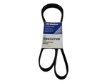 Gm V-ribbed Serpen (b) 6K703 New Oem 88932728. Fixed Price $49.83.