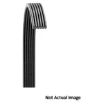 Dayco 6070817 Poly Rib Belt,. Fixed Price $75.00.
