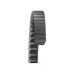 Dayco 28455 Accessory Drive Belt For V1091046 V1090892 TR28454 T28454 MF9440 J1. Fixed Price $29.99.
