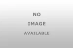 Dorman Automatic Belt Tensioner 419207 Reliable Performance. Fixed Price $62.99.