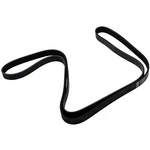 Acdelco OEB1009 Belt W/pmp & A/ (slp P1). Fixed Price $55.10.