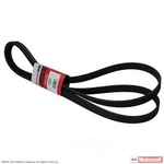 Serpentine Belt Motorcraft JK81263 Ford 6.7L Powerstroke 2011-2012. Fixed Price $122.72.