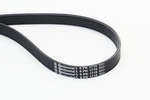 V-ribbed Belt Continental Ctam 6PK1715. Fixed Price $24.61.