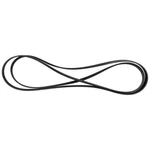 Serpentine Belt Motorcraft JK6-1007-B. Fixed Price $45.95.