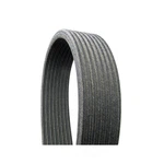 Serpentine Belt-metric Line Dual-sided Continental Elite 8DPK1412. Fixed Price $57.19.