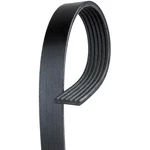 Acdelco 6K802 Professional Serpentine Belt, Standard, V Ribbed. Fixed Price $56.80.