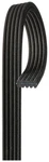 Acdelco Gold 5DK610 Dual Sided V-ribbed Serpentine Belt. Fixed Price $141.19.