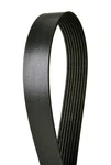 Continental Serpentine Belt For 2002-2004 Mercedes-benz C32 Amg 8PK2902. Fixed Price $89.50.