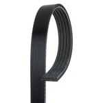 For Chevy Colorado 17-20 Acdelco Professional Standard V-ribbed Serpentine Belt. Fixed Price $26.81.