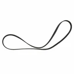 Serpentine Belt Motorcraft JK6-582 Fits 19-23 Ford Ranger 2.3L-L4. Fixed Price $64.99.