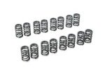 Tomei Valve Springs Kit For Nissan CA18DET S13. Fixed Price $180.00.