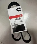 1PC New 217638 Replaces For Cummins Diesel Engine NT855 Water Pump Belt. Fixed Price $51.99.