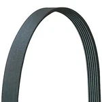 380K5 Driveworks Poly Rib Serpentine Belt; Long, Count. Fixed Price $19.99.