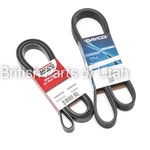 Jaguar F-pace Supercharged V6 V8 Serpentine Belt Pair Bando Dayco 2017 2020. Fixed Price $79.95.
