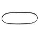 Genuine Ford Serpentine Drive V-belt JAMZ-8620-AA. Fixed Price $17.09.