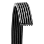 Ford Edge 2012-2015 Dayco Poly Rib Double Sided Belt. Fixed Price $38.12.