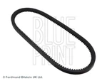 Blue Print AD13V765 V-belt For Nissan. Fixed Price $9.80.