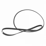 JK-4682 Motorcraft Serpentine Belt Ford Mustang 2020. Fixed Price $55.76.