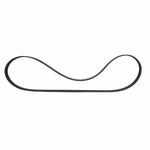 Motorcraft Serpentine Belt JK6-591. Fixed Price $53.16.