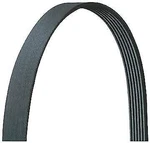 Dayco Drive Rite 5060431DR Serpentine Belt. Fixed Price $29.08.