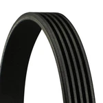 V-ribbed Belt Continental Ctam 5PK1240. Fixed Price $22.00.