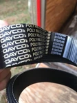 Dayco International Serpentine Belt 5100540. Fixed Price $25.00.