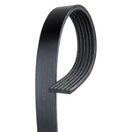 Ford Mustang 11-14 Acdelco Professional Standard V-ribbed Serpentine Belt. Fixed Price $19.49.