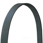 Serpentine Belt-vin: M Carquest/driveworks 615K6. Fixed Price $25.56.