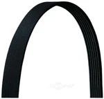 Serpentine Belt Dayco 5050835DR. Fixed Price $30.04.