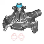 Acdelco Professional 252-711 Water Pump Kit For Chevrolet And Gmc Vehicles. Fixed Price $82.54.