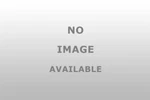Dorman Chassis 300-405 Steering Parts Oem. Fixed Price $164.55.
