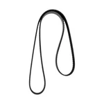 Ford Excursion 00-02 Continental Contitech Conti-v Multirib Serpentine Belt. Fixed Price $49.01.
