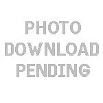 Gates For 02-04 Rsx Micro-v Belt. Fixed Price $35.28.