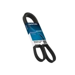 Dayco 5040335 Poly Rib Belt,. Fixed Price $34.77.
