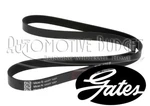 Water Pump & Alternator / Generator Control Belt For Ferrari 355 - New. Fixed Price $39.00.