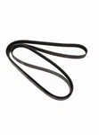 Continental Ag 4060358 Automotive Multi Belt. Fixed Price $19.99.