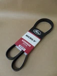 Serpentine Belt Gates K060609. Fixed Price $36.50.