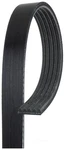 Serpentine Belt. Fixed Price $49.00.